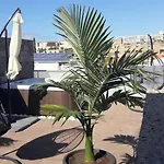 Luxury Bkm In Playa Del Duque * Адехе