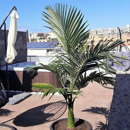 Luxury Bkm In Playa Del Duque 阿德耶