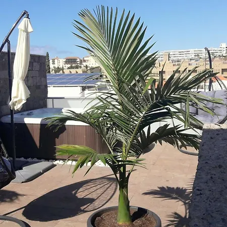Luxury Bkm In Playa Del Duque * 阿德耶